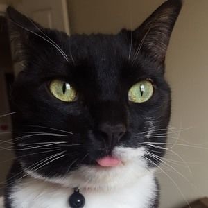 Meet your Posher, Brandi